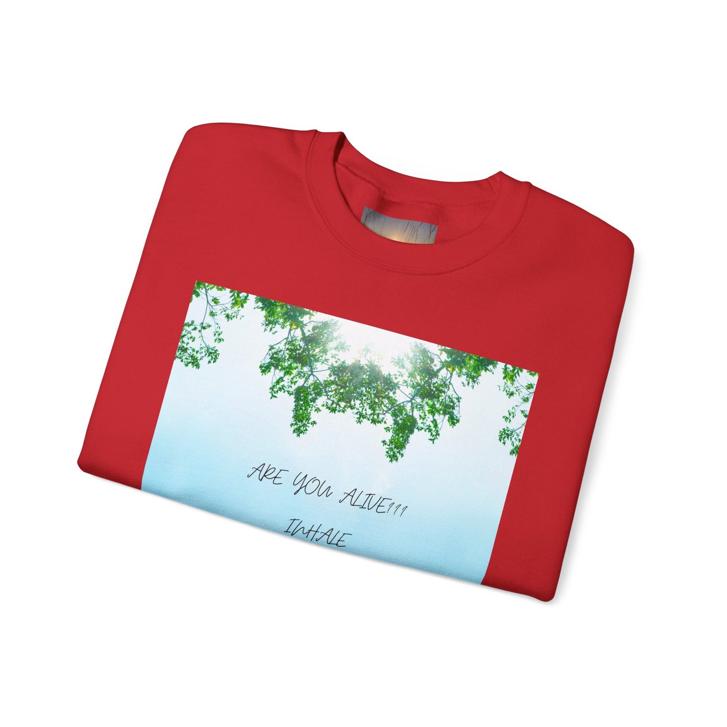 ARE YOU ALIVE Crewneck Sweatshirt, Motivational Gift, Cozy Relaxed Wear, Nature Vibes, Unisex Sweatshirt, Self-Care