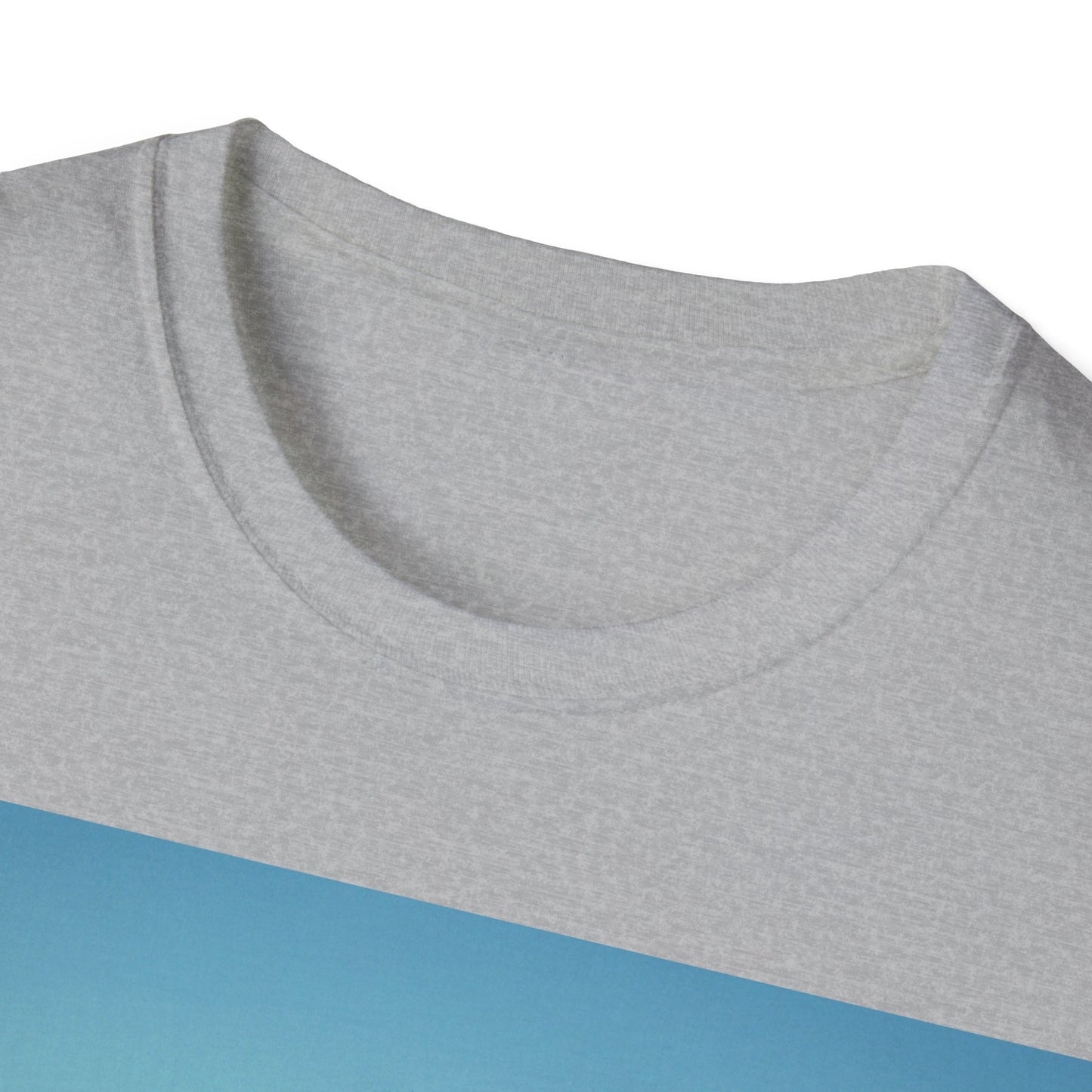 NEW DAY NEW BEGINNING A NEW ME Unisex Softstyle T-Shirt
