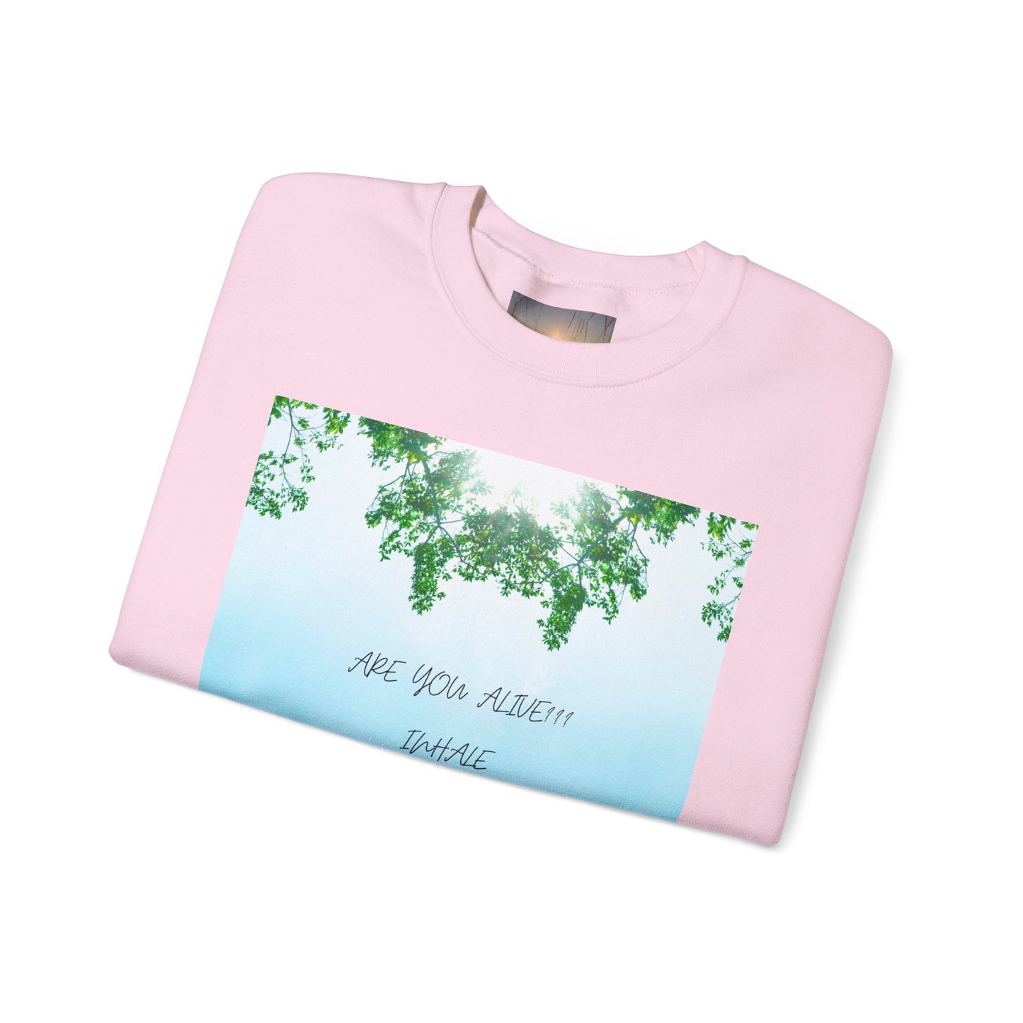 ARE YOU ALIVE Crewneck Sweatshirt, Motivational Gift, Cozy Relaxed Wear, Nature Vibes, Unisex Sweatshirt, Self-Care
