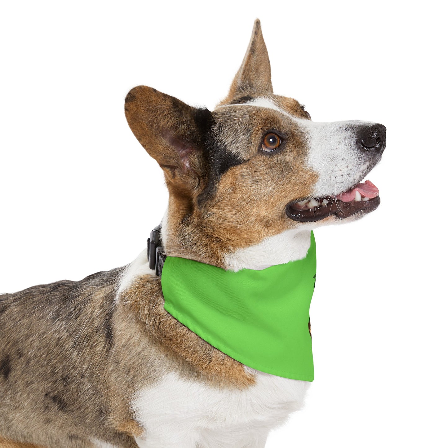HUG ME ISAAC IDYER ARTS DESINGS Pet Bandana Collar