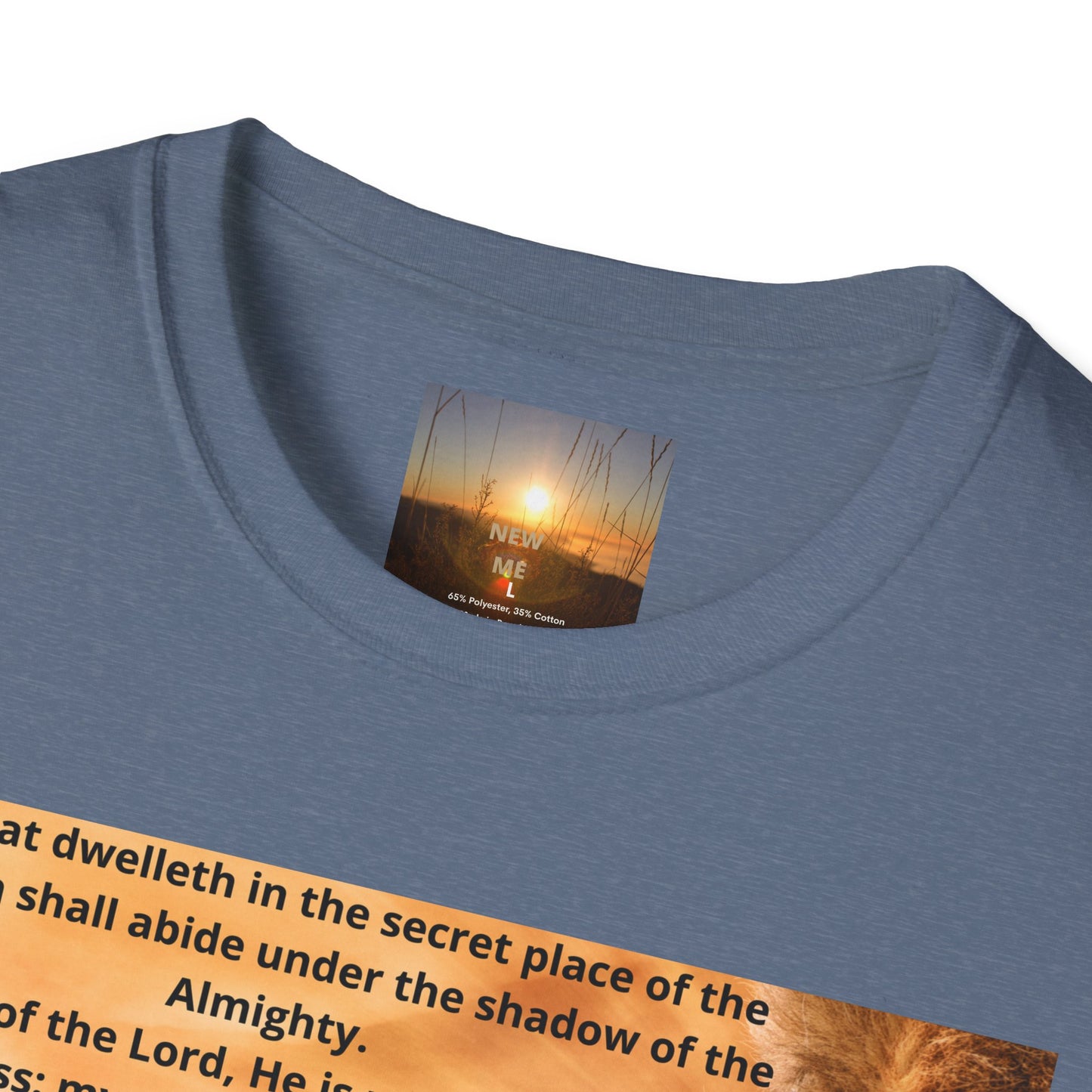 PSALM 91 Inspirational Lion T-Shirt, Motivational Tee, Unisex Quote Shirt, Positive Vibes Wear, Nature Lover Gift