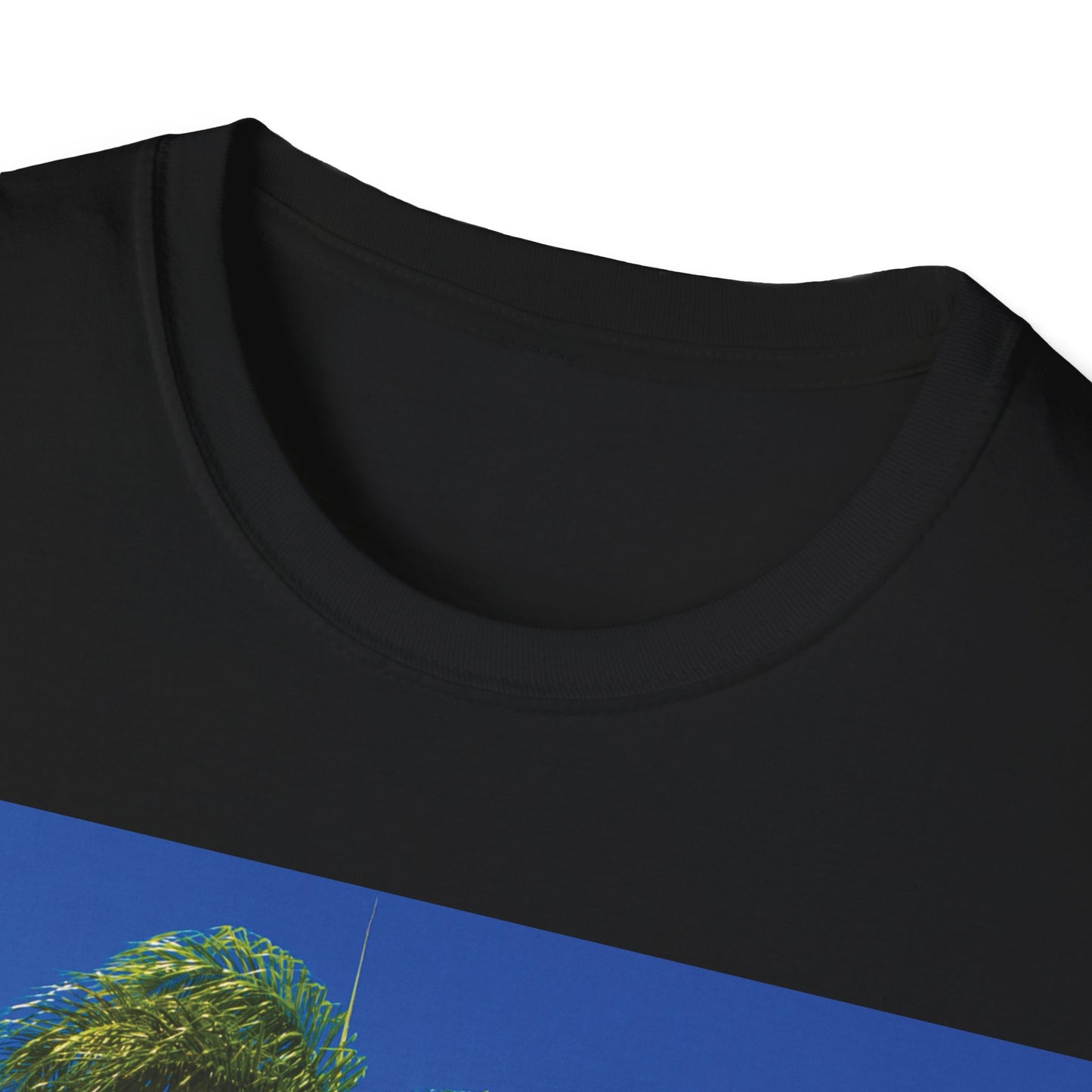EL DOMINICANITO ESE Unisex Softstyle T-Shirt
