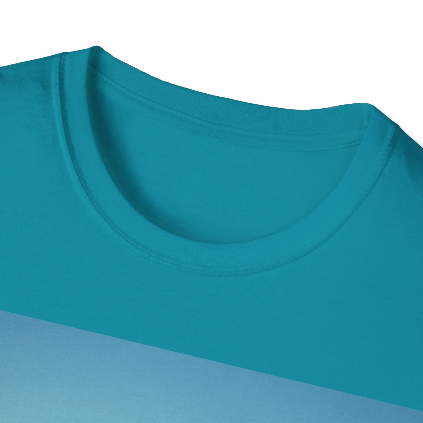 NEW DAY NEW BEGINNING A NEW ME Unisex Softstyle T-Shirt