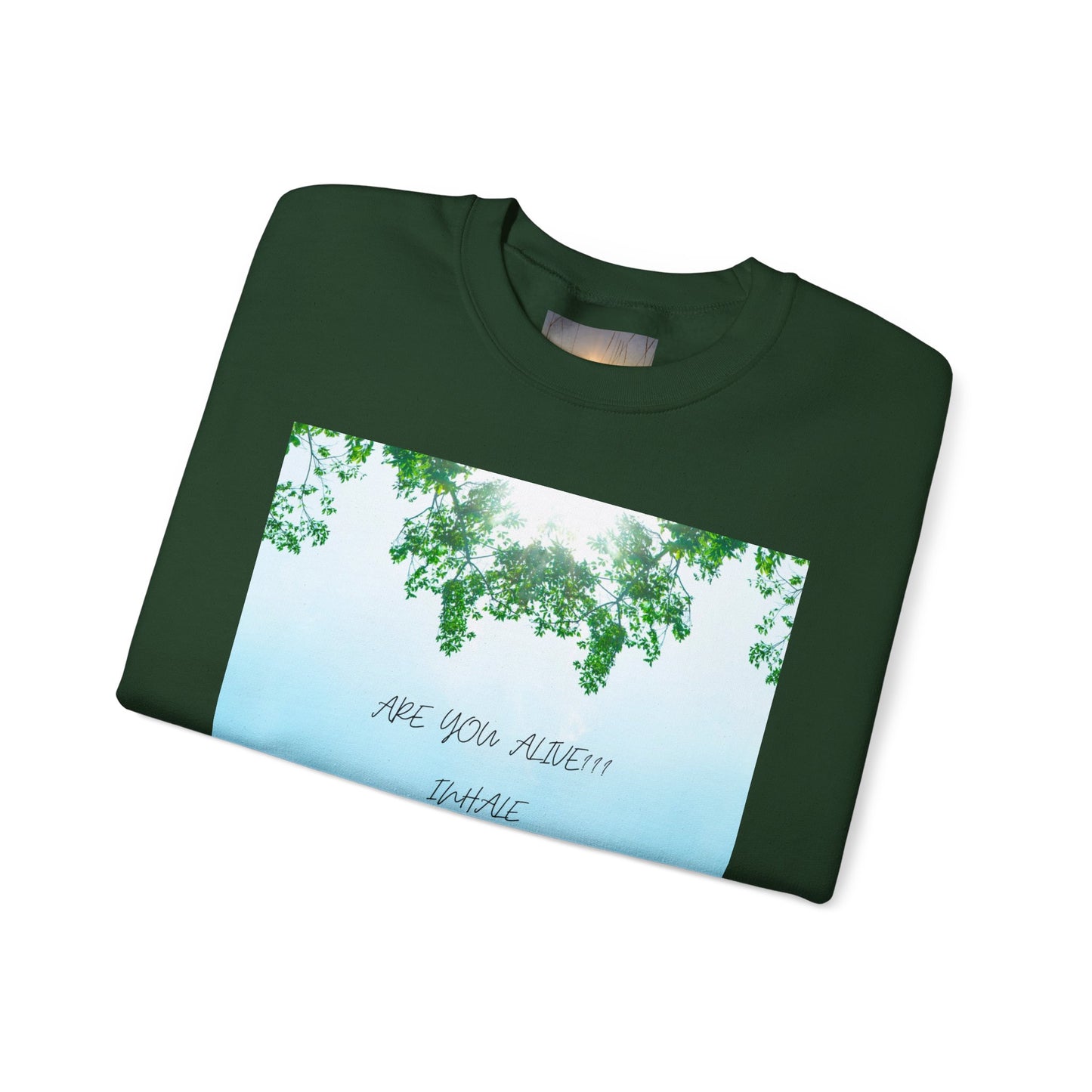 ARE YOU ALIVE Crewneck Sweatshirt, Motivational Gift, Cozy Relaxed Wear, Nature Vibes, Unisex Sweatshirt, Self-Care