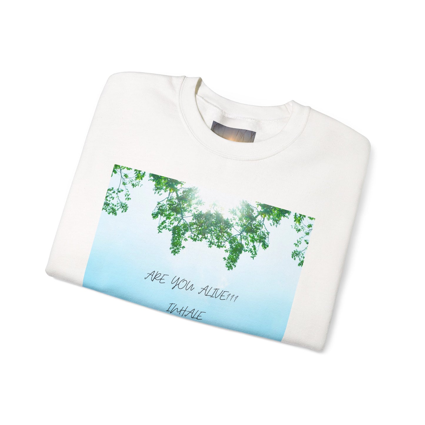 ARE YOU ALIVE Crewneck Sweatshirt, Motivational Gift, Cozy Relaxed Wear, Nature Vibes, Unisex Sweatshirt, Self-Care