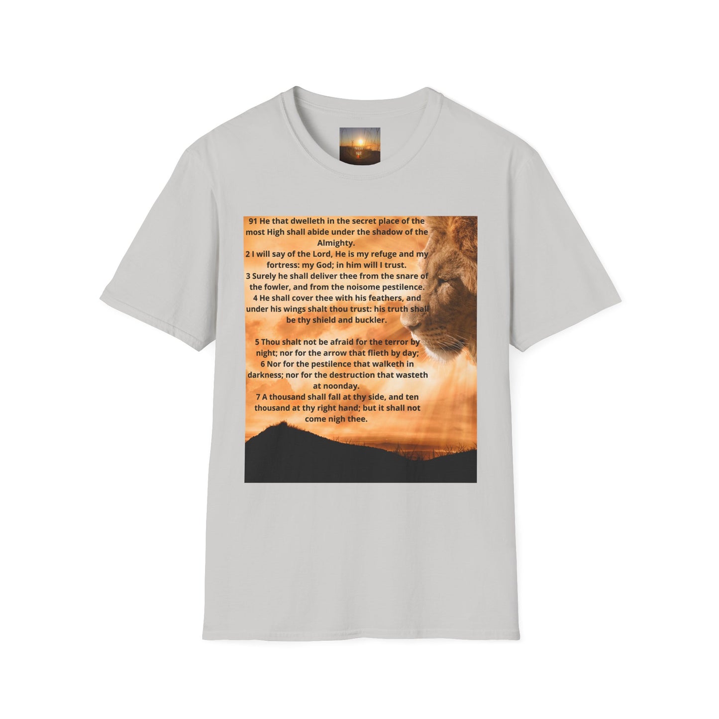 PSALM 91 Inspirational Lion T-Shirt, Motivational Tee, Unisex Quote Shirt, Positive Vibes Wear, Nature Lover Gift
