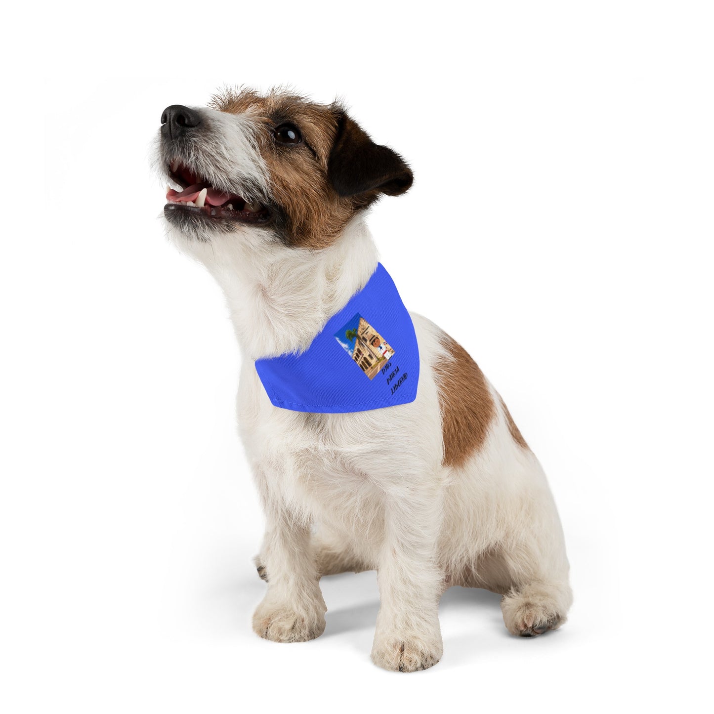 DIOS PATRIA LIBERTAD EL DOMINICANITO ESE Pet Bandana Collar