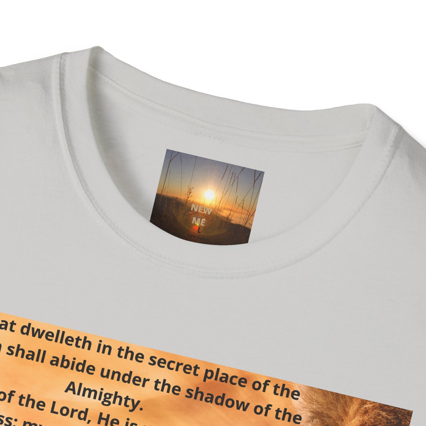 PSALM 91 Inspirational Lion T-Shirt, Motivational Tee, Unisex Quote Shirt, Positive Vibes Wear, Nature Lover Gift