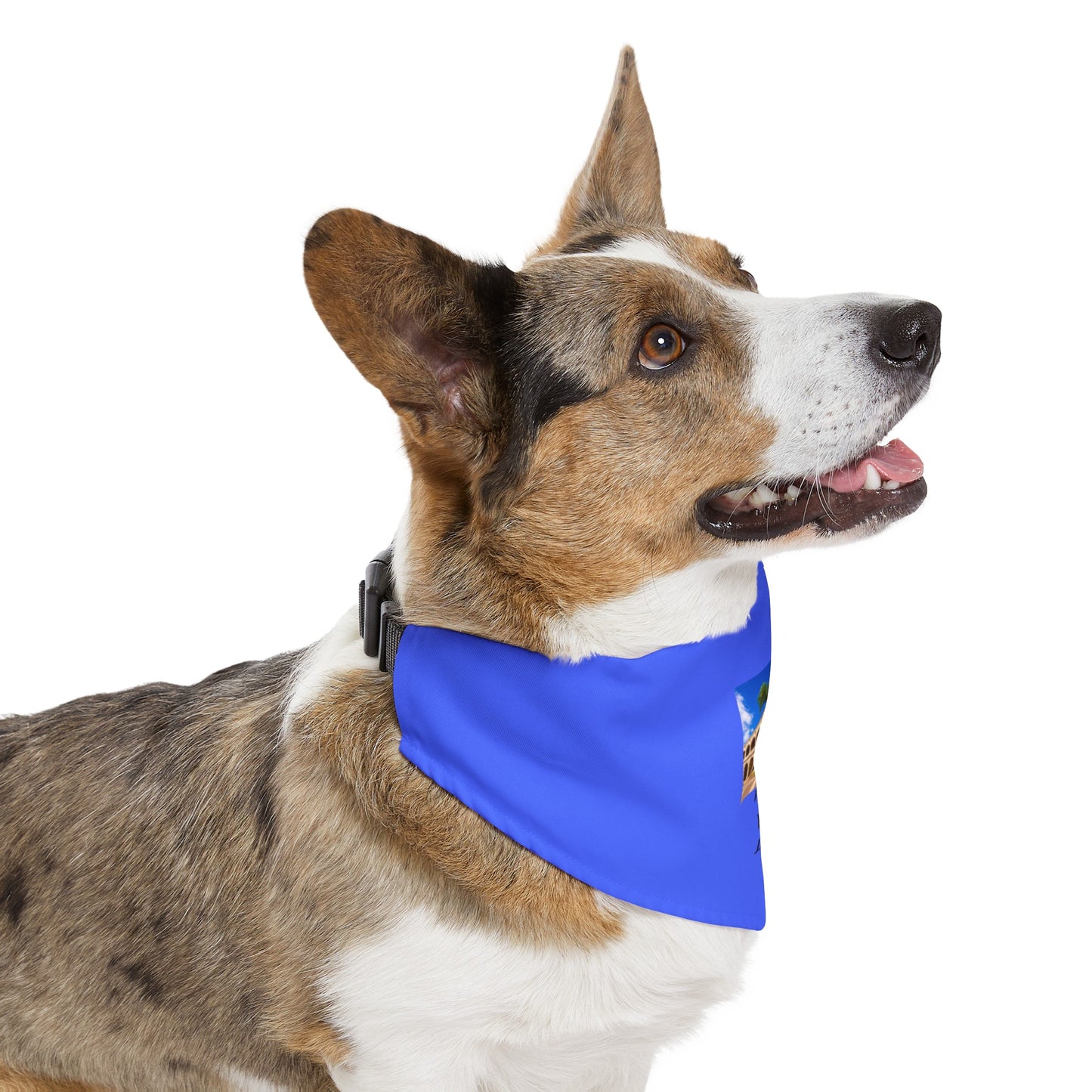 DIOS PATRIA LIBERTAD EL DOMINICANITO ESE Pet Bandana Collar