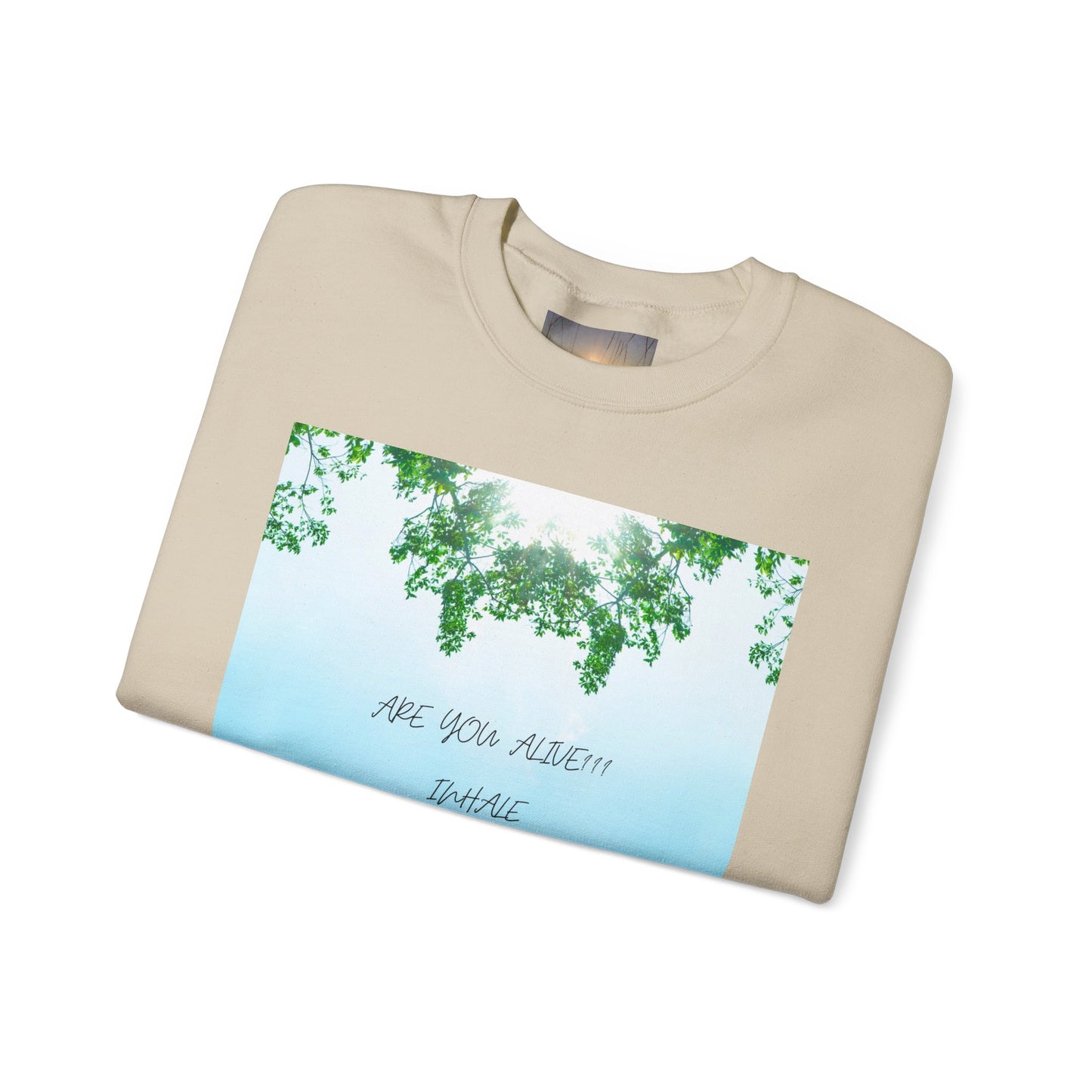 ARE YOU ALIVE Crewneck Sweatshirt, Motivational Gift, Cozy Relaxed Wear, Nature Vibes, Unisex Sweatshirt, Self-Care