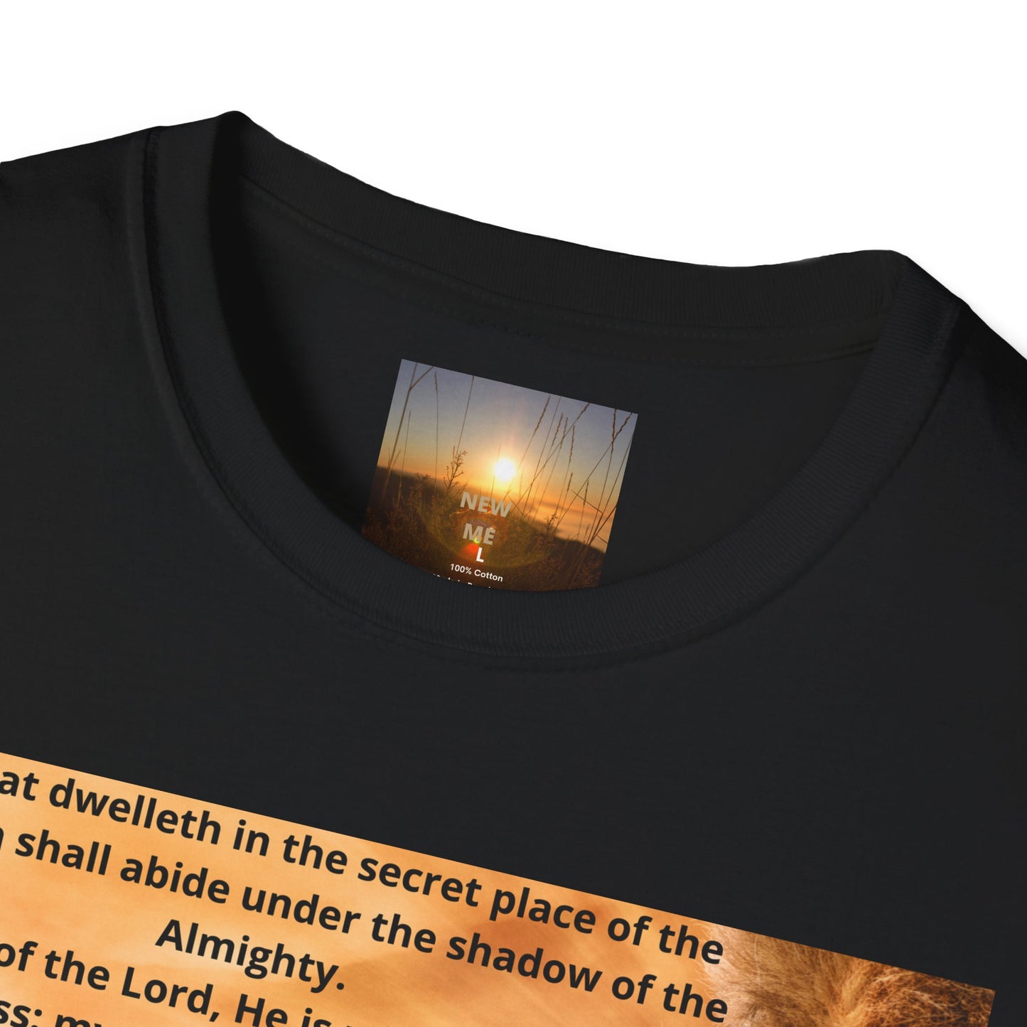 PSALM 91 Inspirational Lion T-Shirt, Motivational Tee, Unisex Quote Shirt, Positive Vibes Wear, Nature Lover Gift
