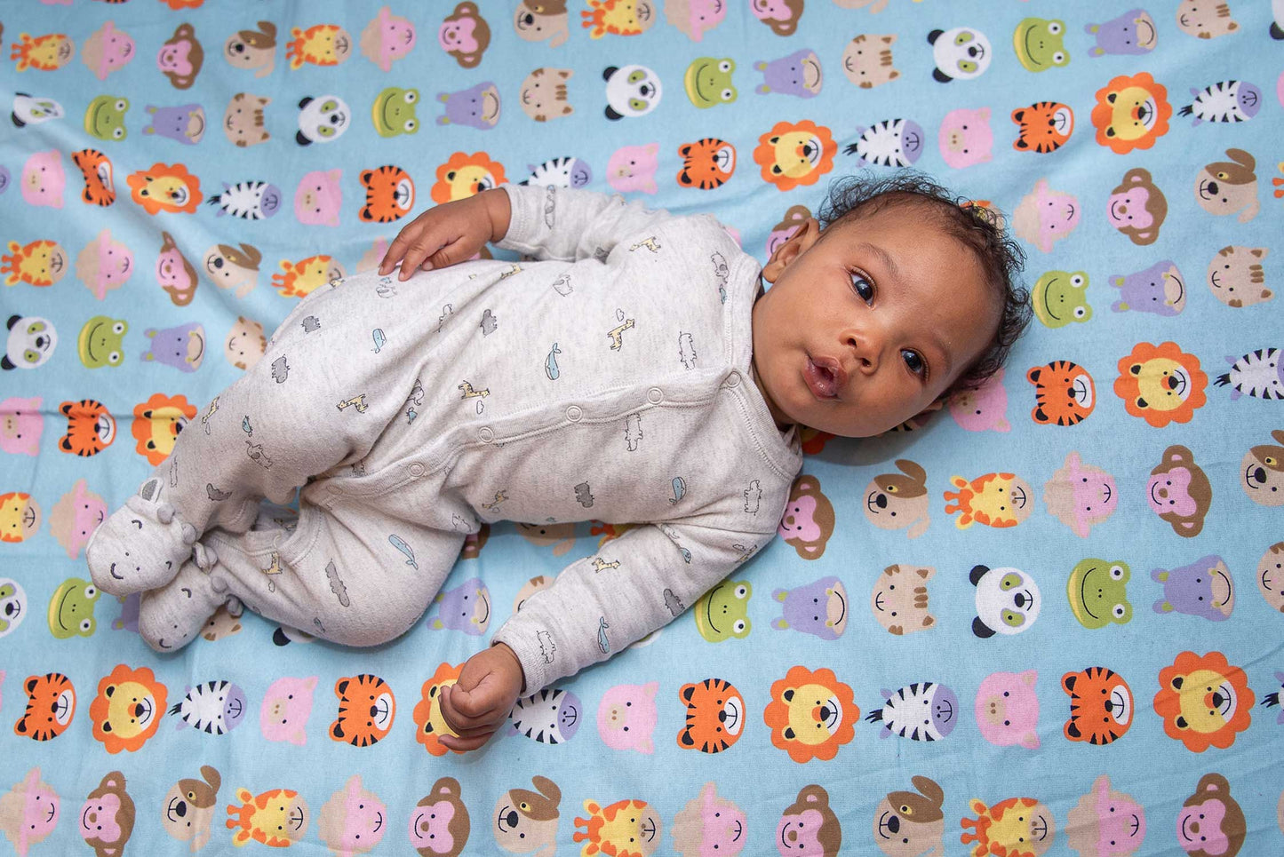 SheetWorld Fitted Pack N Play Sheet Fits Graco - 100% Cotton Flannel -