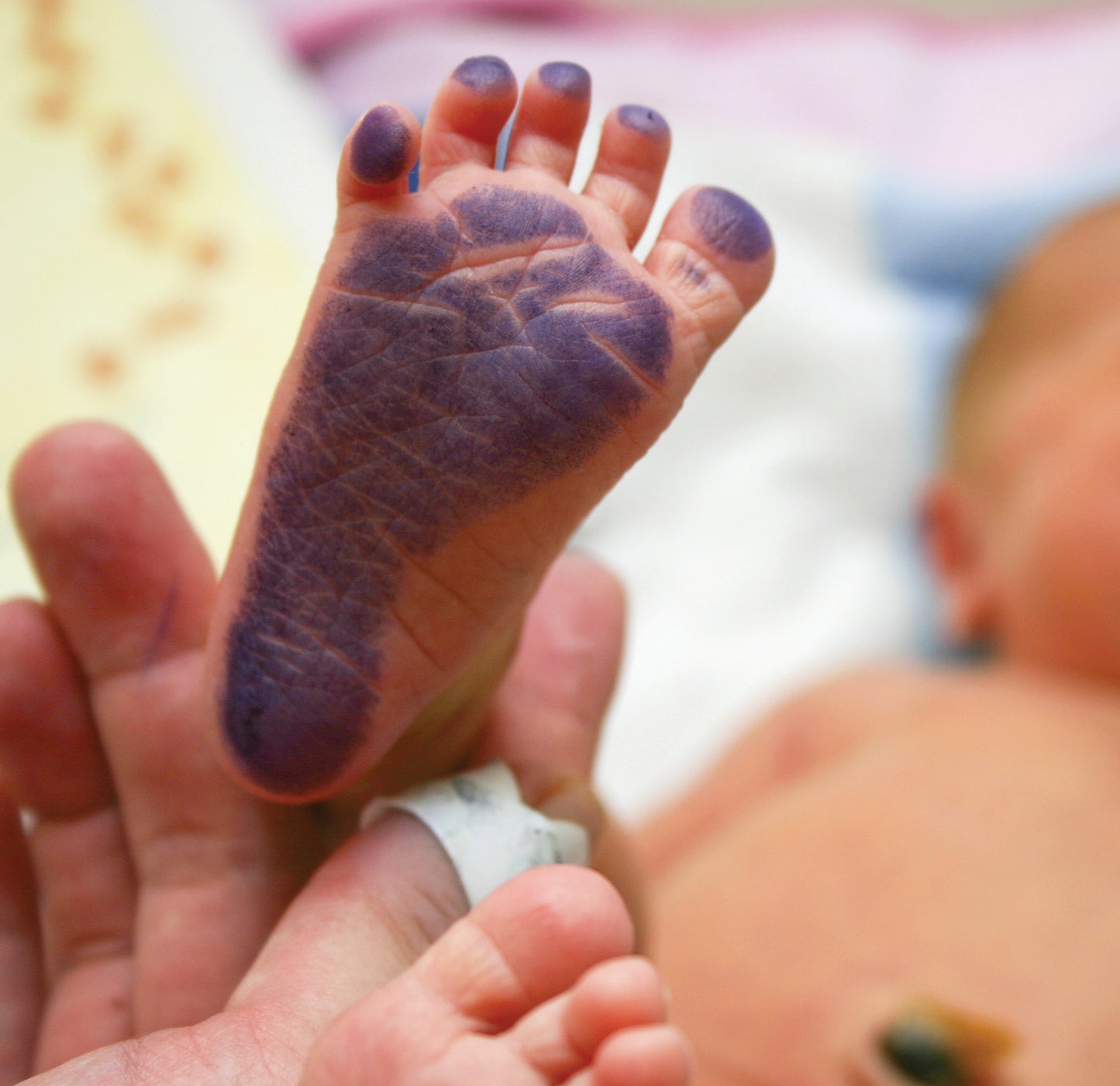 Personalized Baby Penguin Footprint Kit, A3 format, white