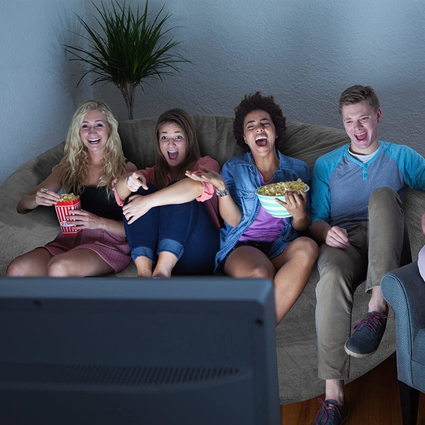 Bag Chair Cover(it was only a Cover; not a Full Bean Bag) Chair