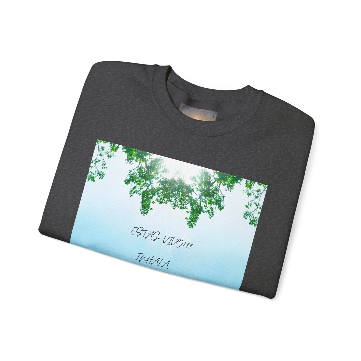 ESTAS VIVO Crewneck Sweatshirt, Unisex Cozy Apparel, Perfect Gift for Nature Lovers, Relaxed Fit for Every Day, Ideal for [...]