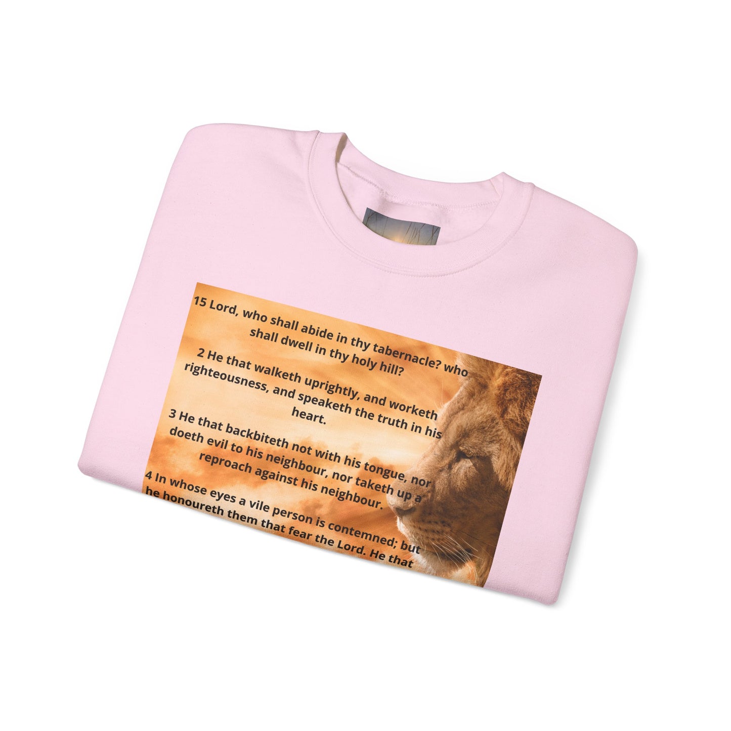PSALM 15 Lion Crewneck Sweatshirt, Motivational Top for Animal Lovers, Gift Idea for Birthdays, Cozy Apparel for Everyday [...]