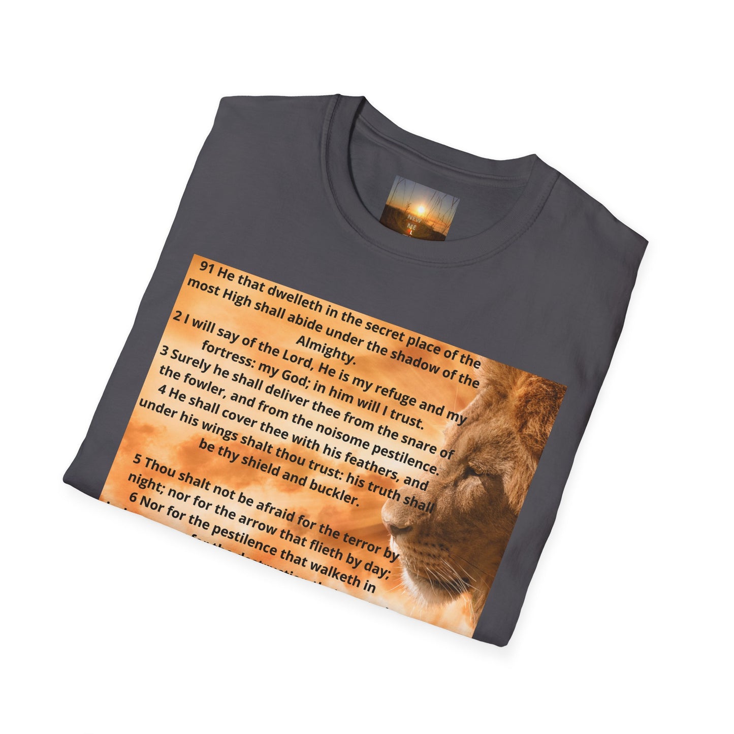 PSALM 91 Inspirational Lion T-Shirt, Motivational Tee, Unisex Quote Shirt, Positive Vibes Wear, Nature Lover Gift
