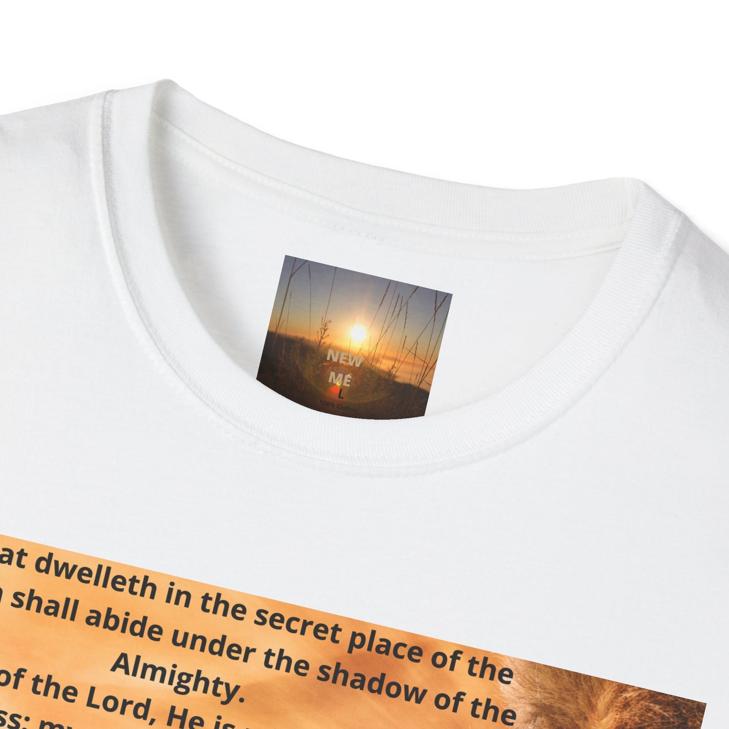 PSALM 91 Inspirational Lion T-Shirt, Motivational Tee, Unisex Quote Shirt, Positive Vibes Wear, Nature Lover Gift