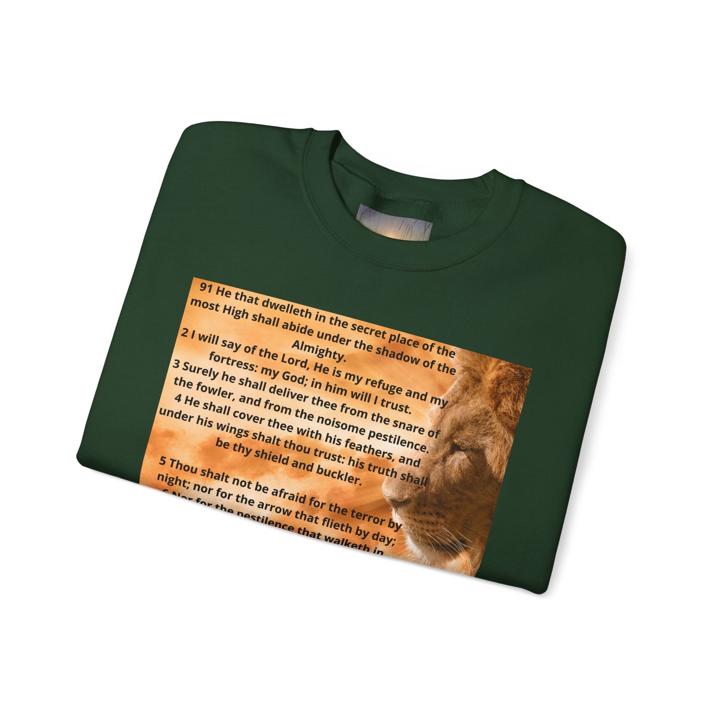 PSALM 91 Inspirational Lion Sweatshirt, Motivational Crewneck, Animal Lover Gift, Cozy Unisex Apparel, Unique Quote Sweatshirt, Gift for Nature [...]