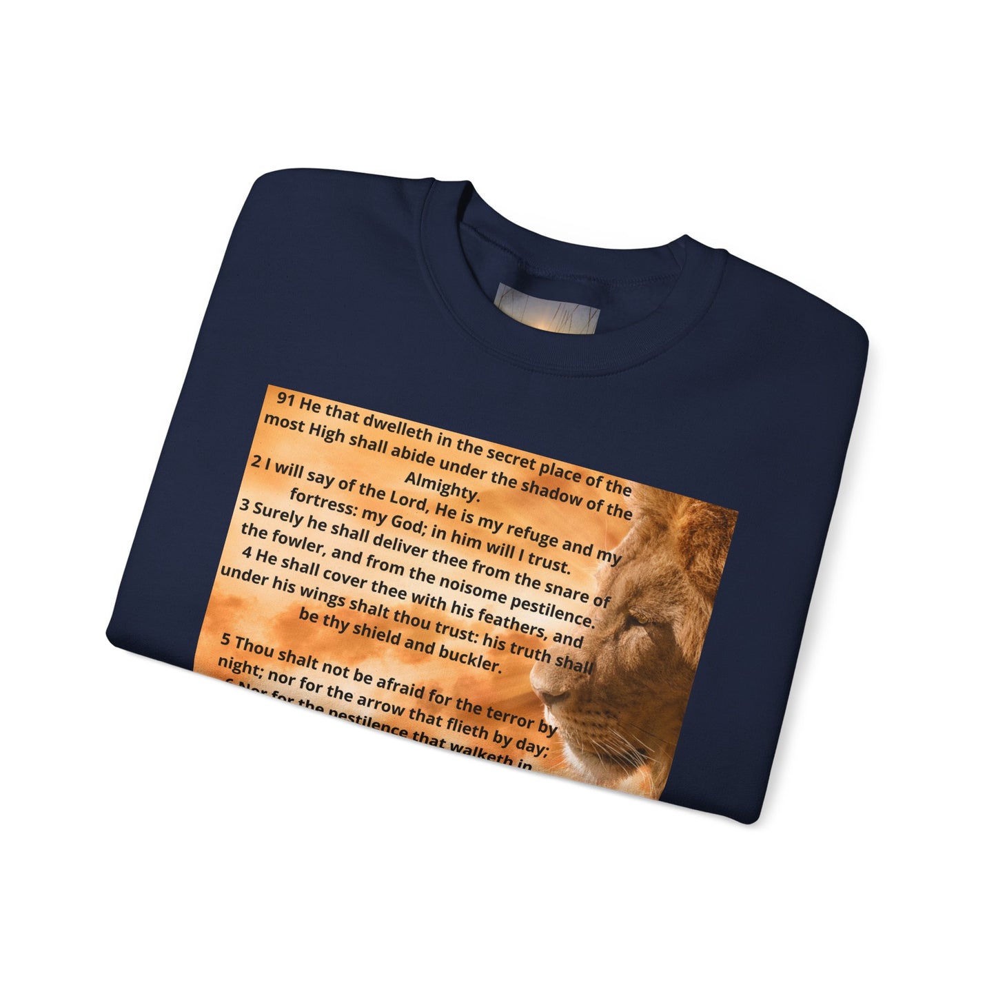 PSALM 91 Inspirational Lion Sweatshirt, Motivational Crewneck, Animal Lover Gift, Cozy Unisex Apparel, Unique Quote Sweatshirt, Gift for Nature [...]