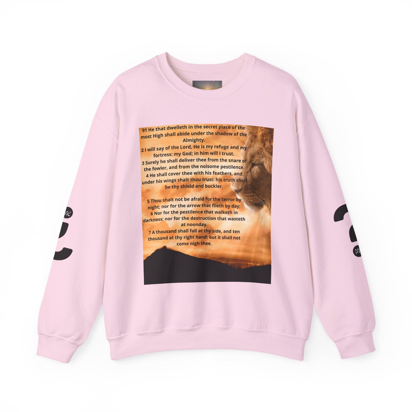PSALM 91 Inspirational Lion Sweatshirt, Motivational Crewneck, Animal Lover Gift, Cozy Unisex Apparel, Unique Quote Sweatshirt, Gift for Nature [...]