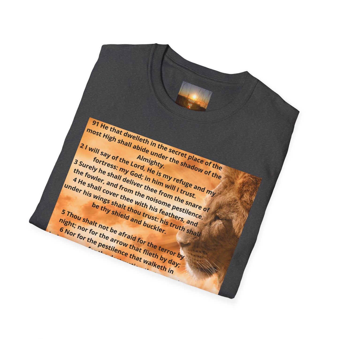 PSALM 91 Inspirational Lion T-Shirt, Motivational Tee, Unisex Quote Shirt, Positive Vibes Wear, Nature Lover Gift