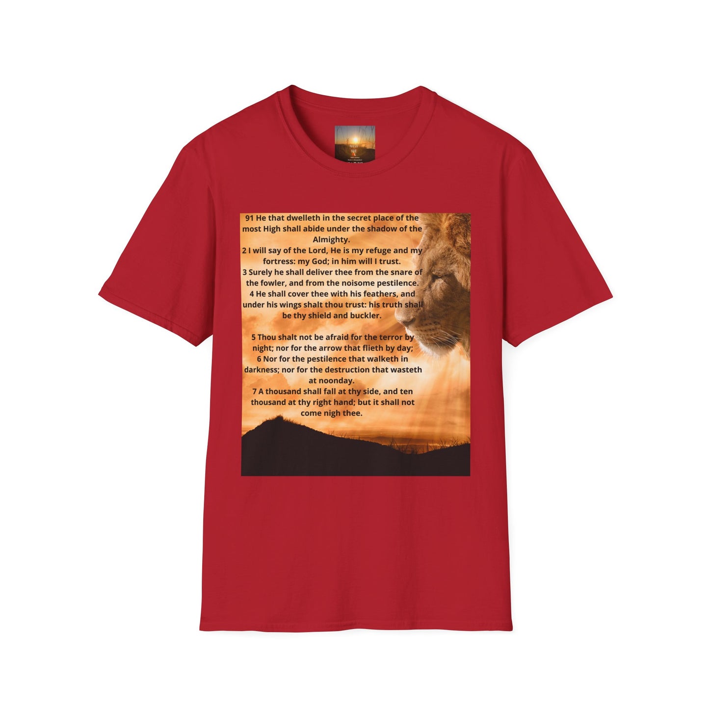 PSALM 91 Inspirational Lion T-Shirt, Motivational Tee, Unisex Quote Shirt, Positive Vibes Wear, Nature Lover Gift