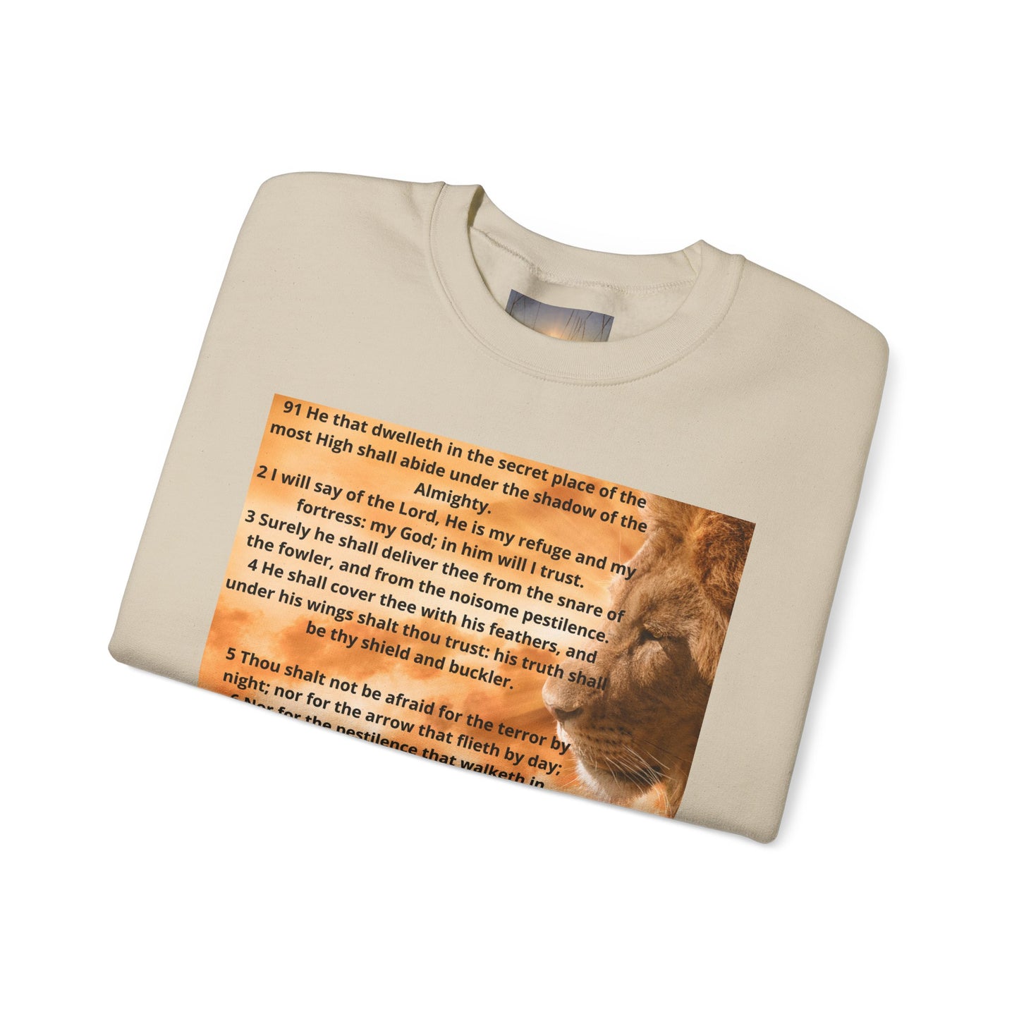 PSALM 91 Inspirational Lion Sweatshirt, Motivational Crewneck, Animal Lover Gift, Cozy Unisex Apparel, Unique Quote Sweatshirt, Gift for Nature [...]