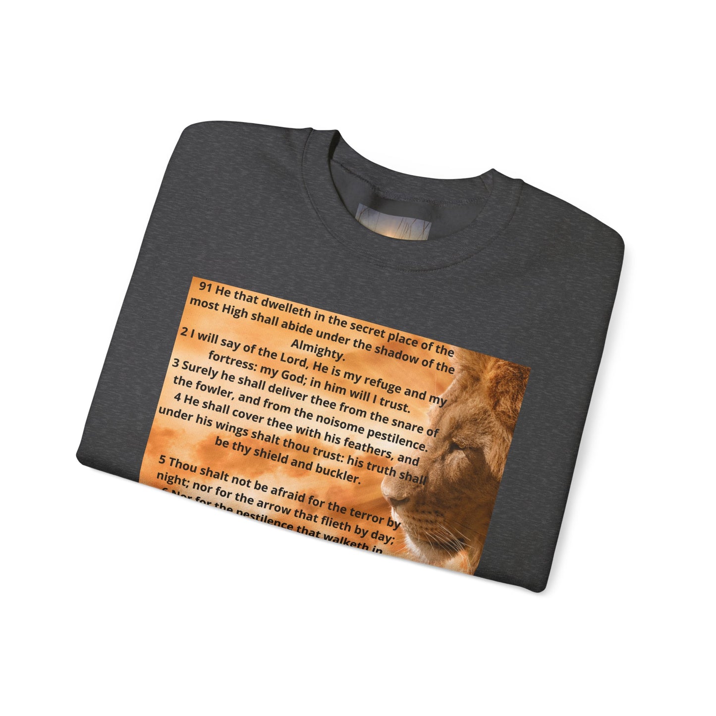 PSALM 91 Inspirational Lion Sweatshirt, Motivational Crewneck, Animal Lover Gift, Cozy Unisex Apparel, Unique Quote Sweatshirt, Gift for Nature [...]