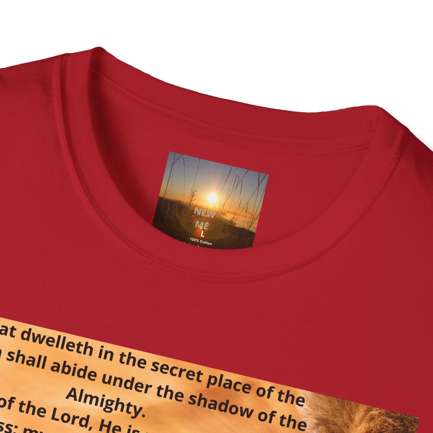 PSALM 91 Inspirational Lion T-Shirt, Motivational Tee, Unisex Quote Shirt, Positive Vibes Wear, Nature Lover Gift