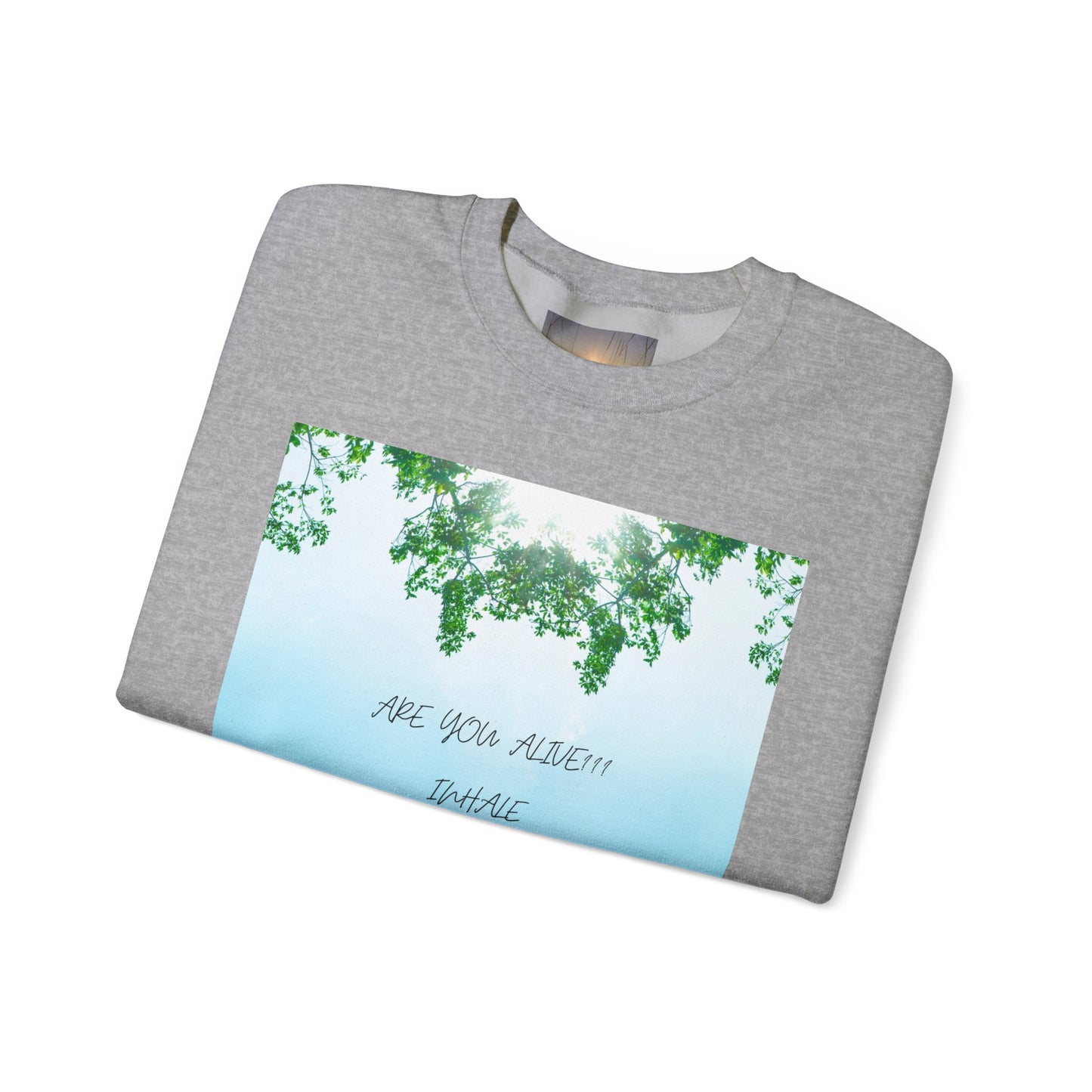 ARE YOU ALIVE Crewneck Sweatshirt, Motivational Gift, Cozy Relaxed Wear, Nature Vibes, Unisex Sweatshirt, Self-Care
