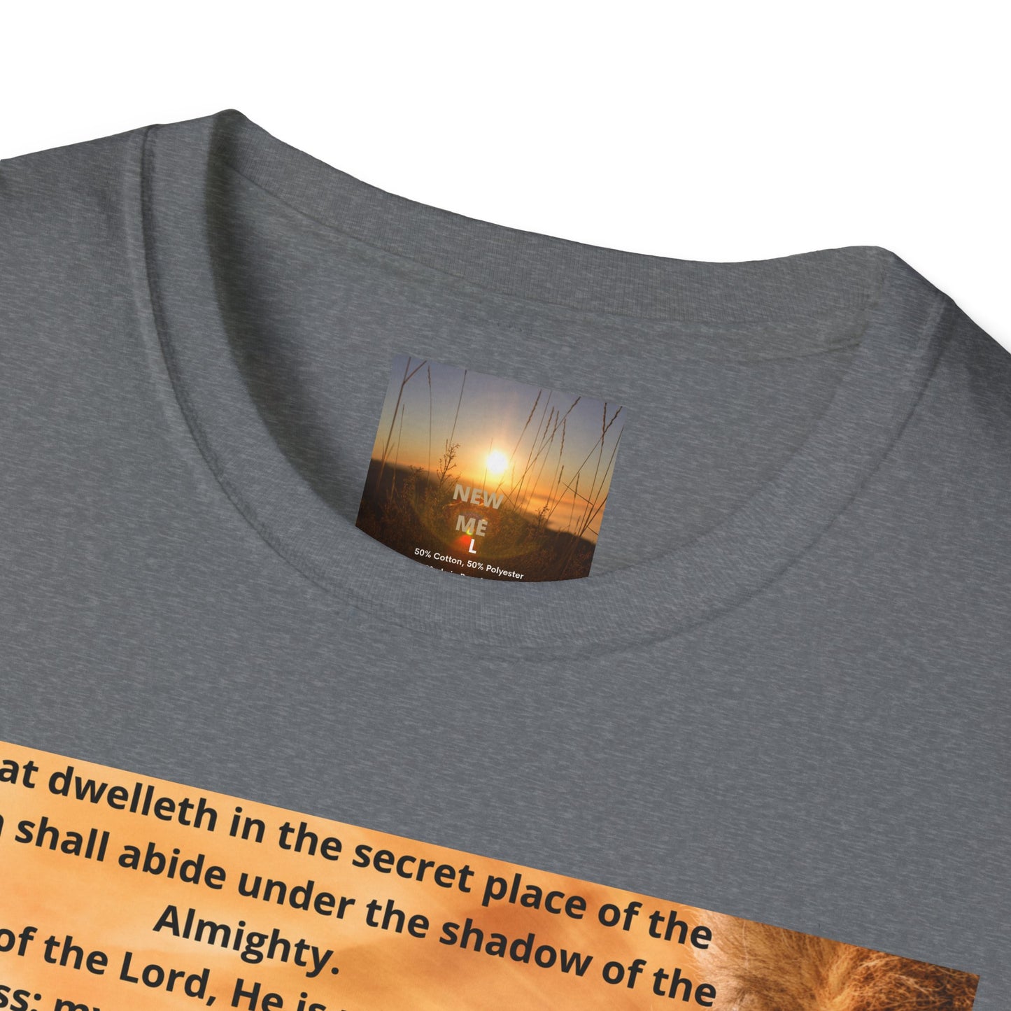 PSALM 91 Inspirational Lion T-Shirt, Motivational Tee, Unisex Quote Shirt, Positive Vibes Wear, Nature Lover Gift