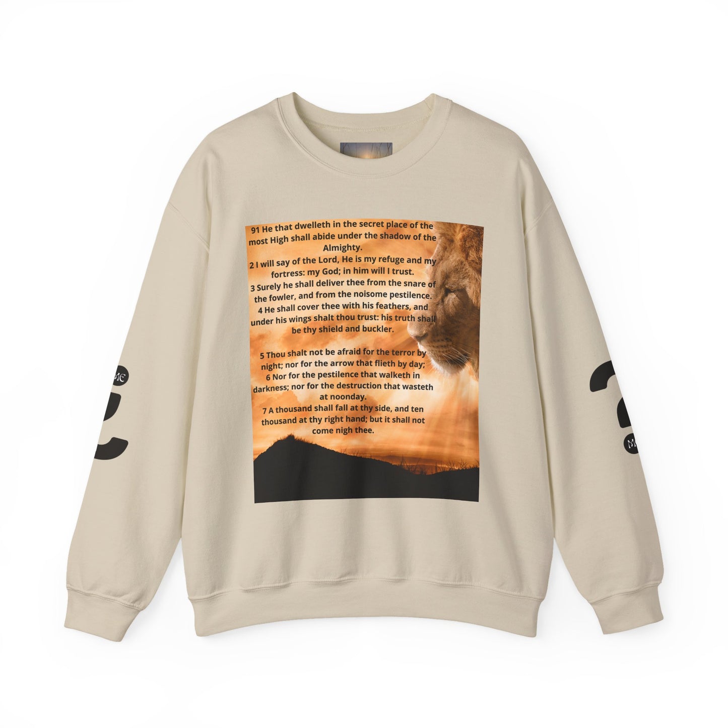 PSALM 91 Inspirational Lion Sweatshirt, Motivational Crewneck, Animal Lover Gift, Cozy Unisex Apparel, Unique Quote Sweatshirt, Gift for Nature [...]