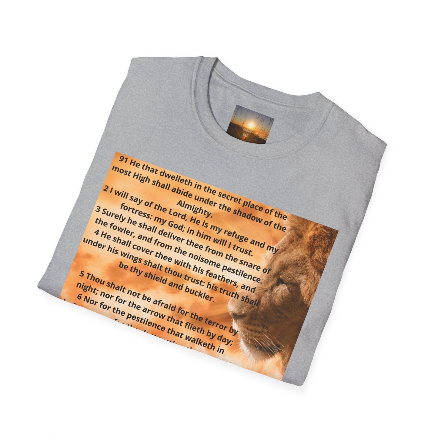 PSALM 91 Inspirational Lion T-Shirt, Motivational Tee, Unisex Quote Shirt, Positive Vibes Wear, Nature Lover Gift