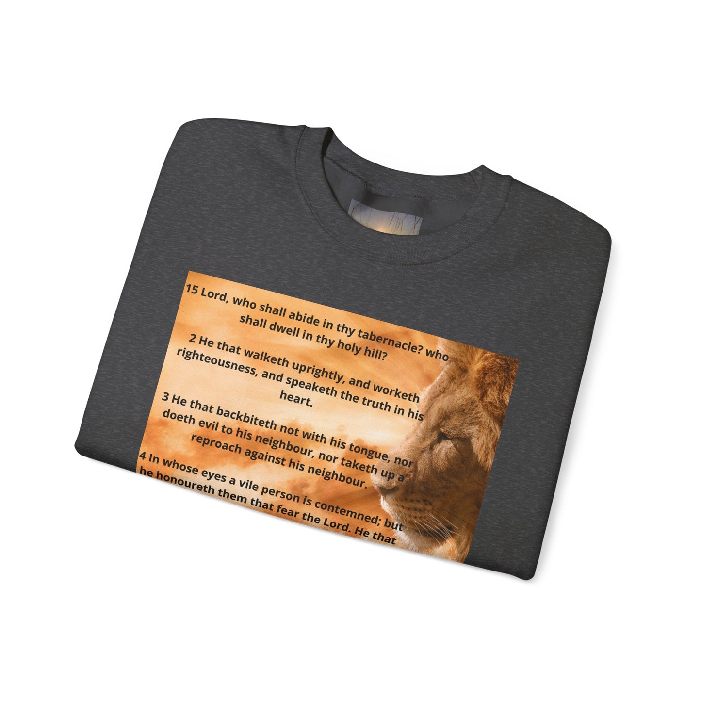 PSALM 15 Lion Crewneck Sweatshirt, Motivational Top for Animal Lovers, Gift Idea for Birthdays, Cozy Apparel for Everyday [...]