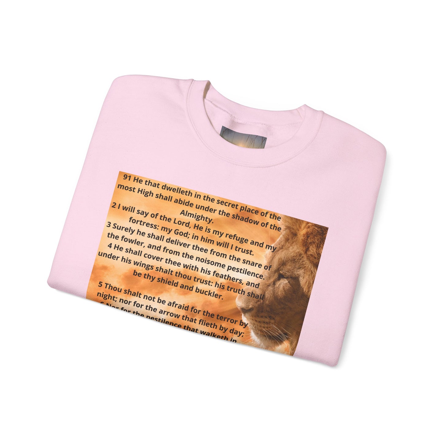 PSALM 91 Inspirational Lion Sweatshirt, Motivational Crewneck, Animal Lover Gift, Cozy Unisex Apparel, Unique Quote Sweatshirt, Gift for Nature [...]
