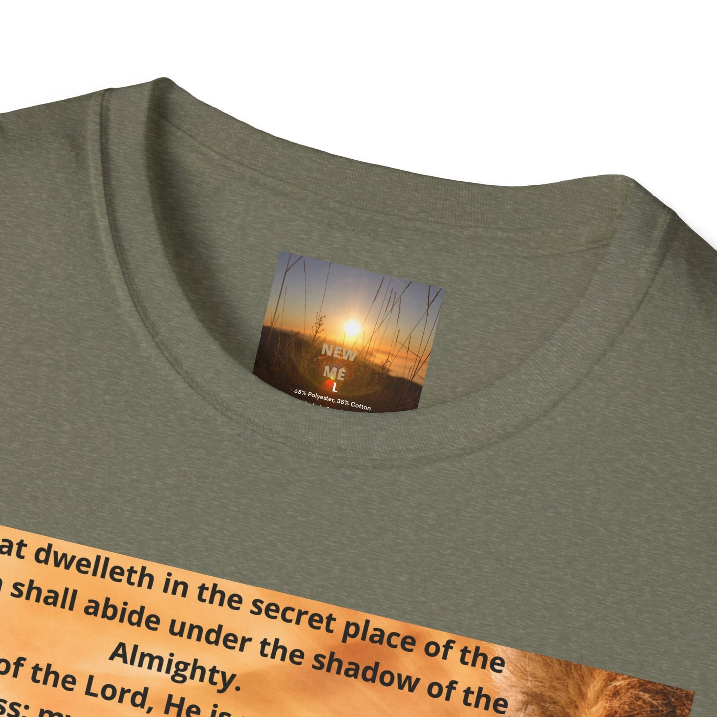 PSALM 91 Inspirational Lion T-Shirt, Motivational Tee, Unisex Quote Shirt, Positive Vibes Wear, Nature Lover Gift