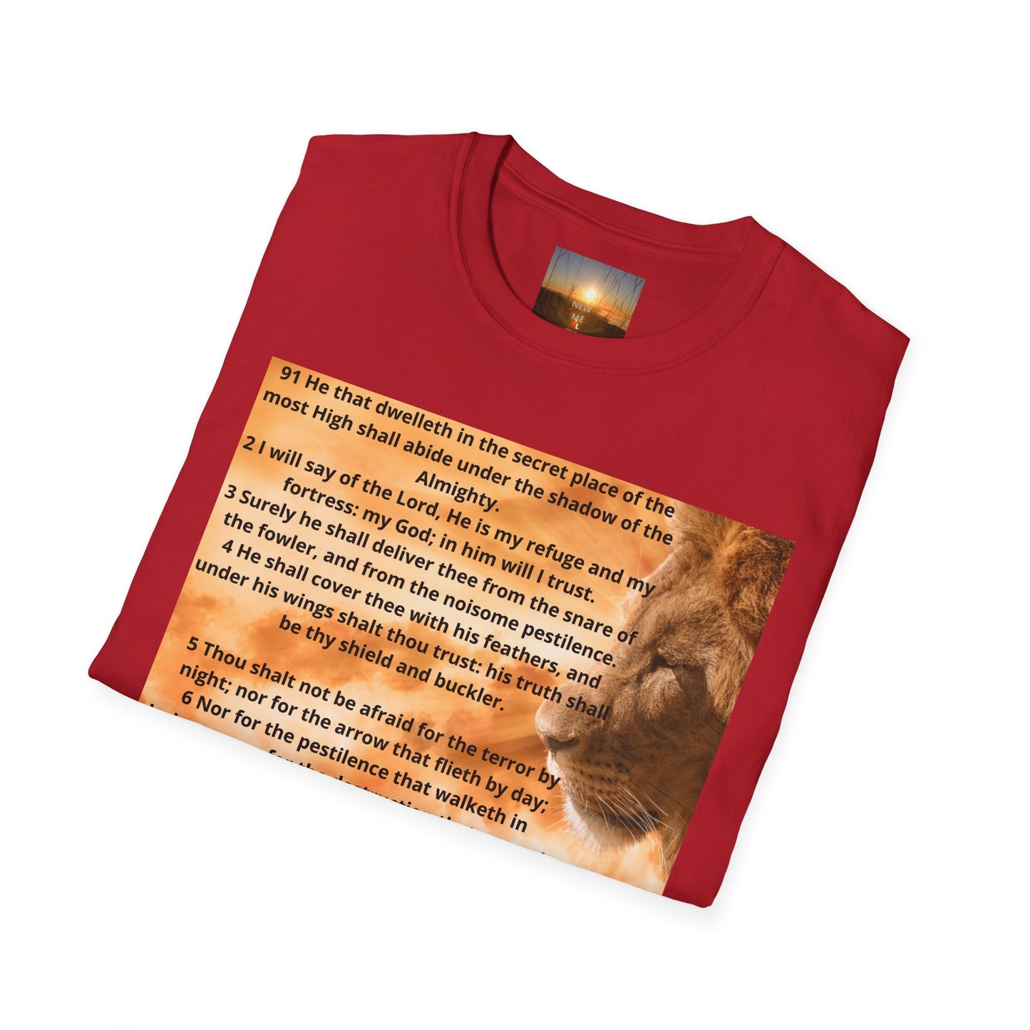 PSALM 91 Inspirational Lion T-Shirt, Motivational Tee, Unisex Quote Shirt, Positive Vibes Wear, Nature Lover Gift