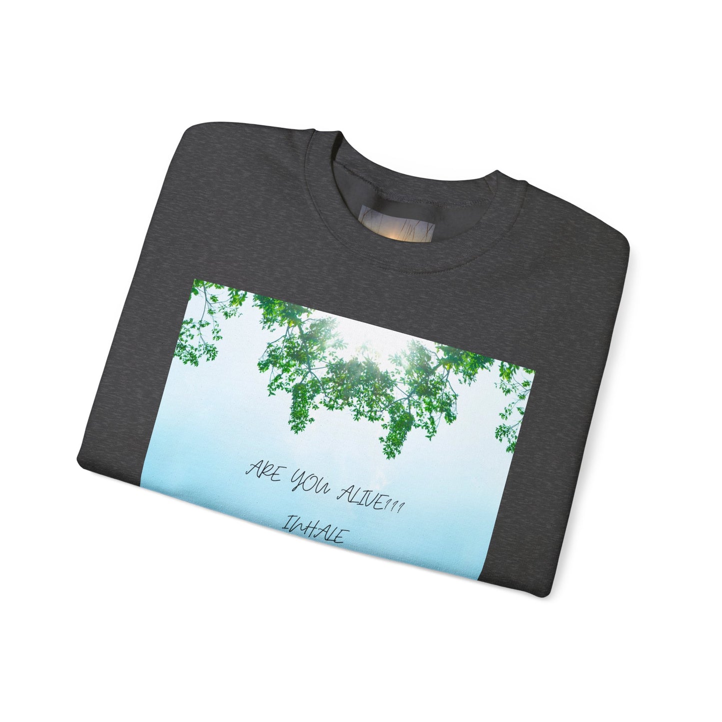 ARE YOU ALIVE Crewneck Sweatshirt, Motivational Gift, Cozy Relaxed Wear, Nature Vibes, Unisex Sweatshirt, Self-Care