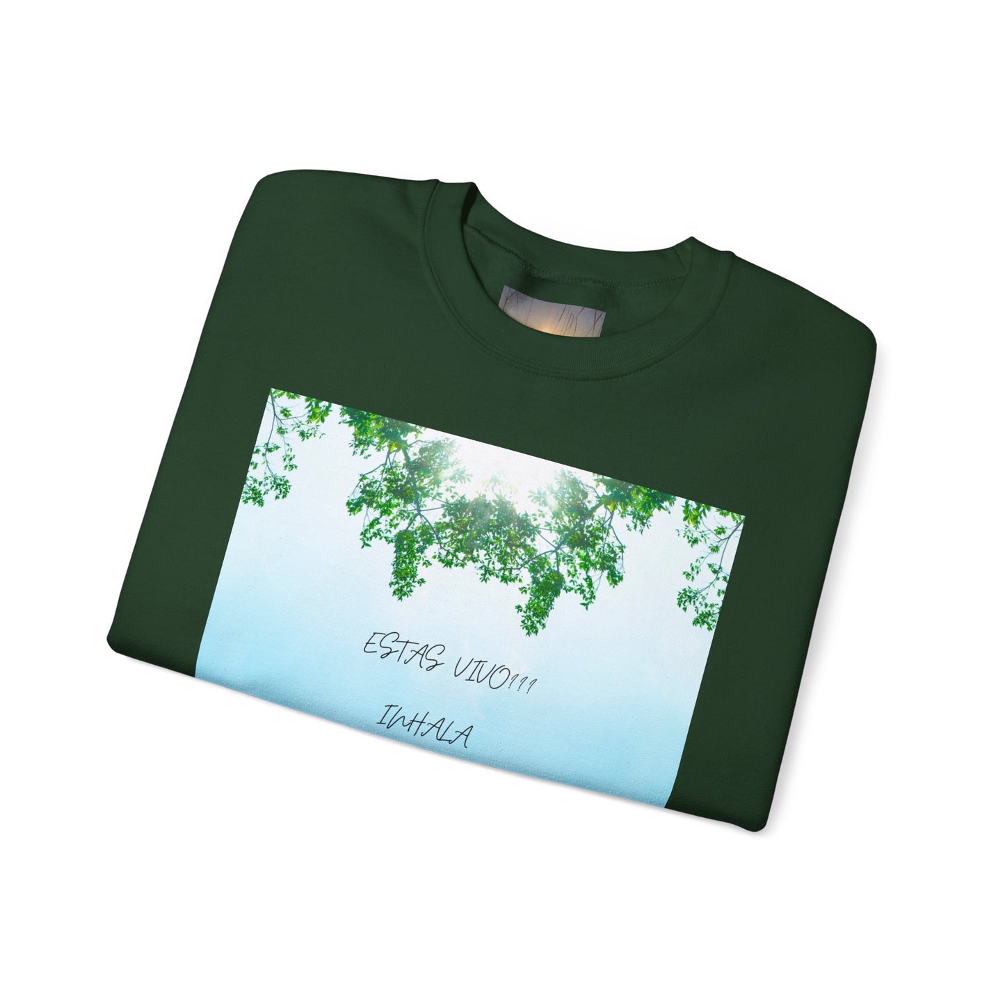 ESTAS VIVO Crewneck Sweatshirt, Unisex Cozy Apparel, Perfect Gift for Nature Lovers, Relaxed Fit for Every Day, Ideal for [...]