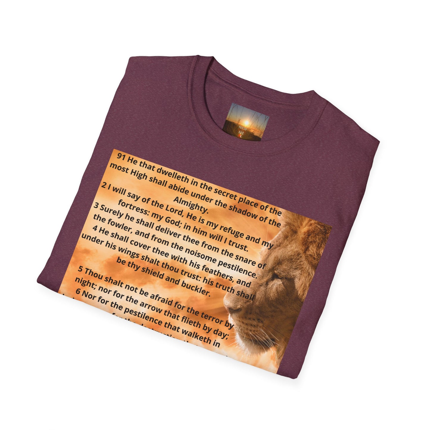 PSALM 91 Inspirational Lion T-Shirt, Motivational Tee, Unisex Quote Shirt, Positive Vibes Wear, Nature Lover Gift