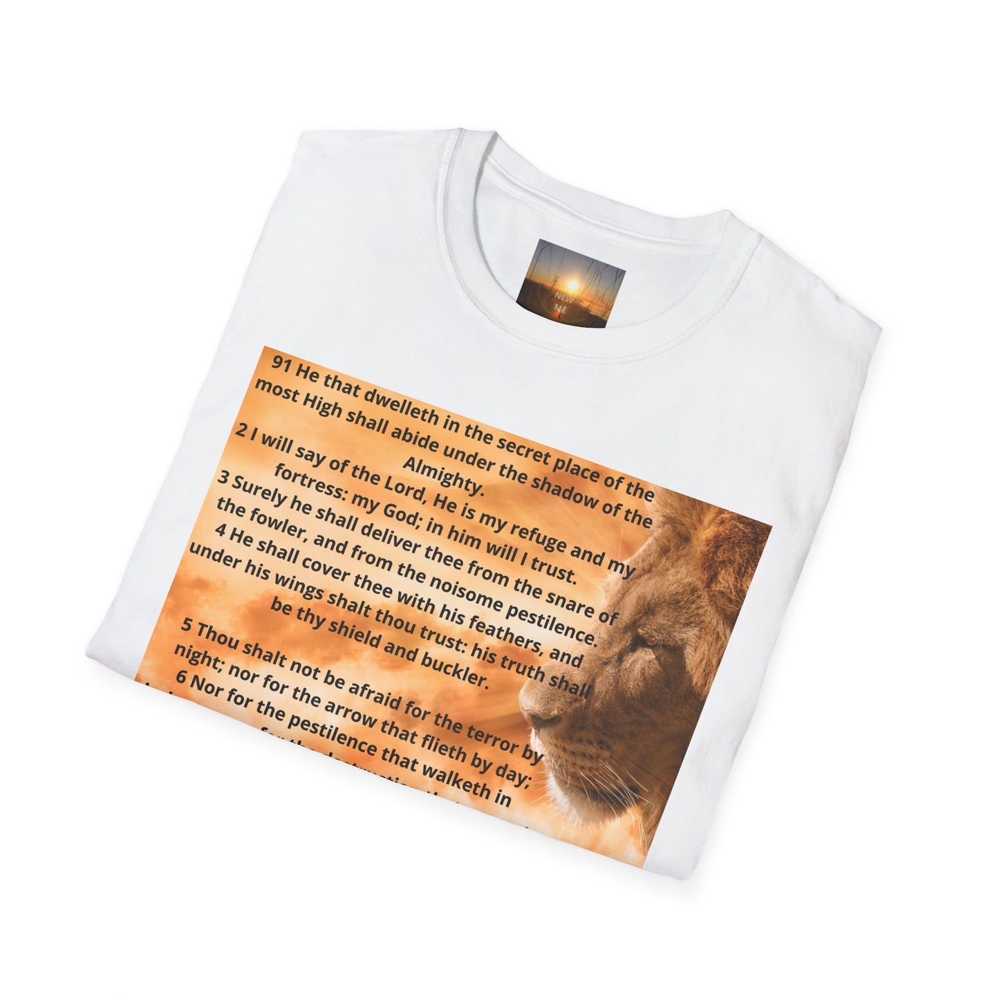 PSALM 91 Inspirational Lion T-Shirt, Motivational Tee, Unisex Quote Shirt, Positive Vibes Wear, Nature Lover Gift