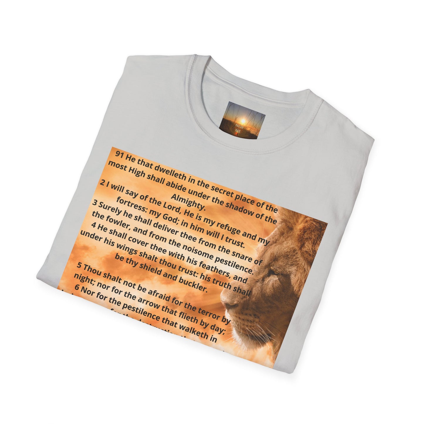 PSALM 91 Inspirational Lion T-Shirt, Motivational Tee, Unisex Quote Shirt, Positive Vibes Wear, Nature Lover Gift