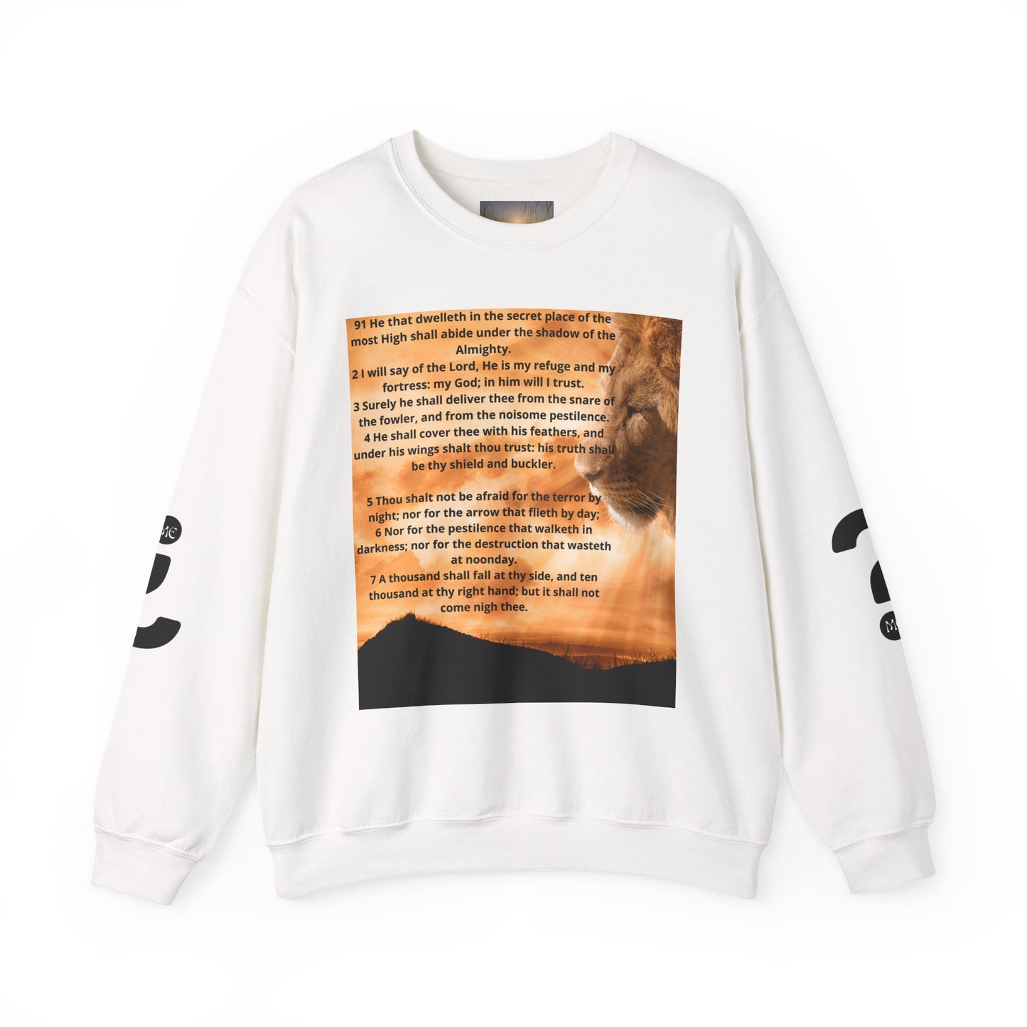PSALM 91 Inspirational Lion Sweatshirt, Motivational Crewneck, Animal Lover Gift, Cozy Unisex Apparel, Unique Quote Sweatshirt, Gift for Nature [...]