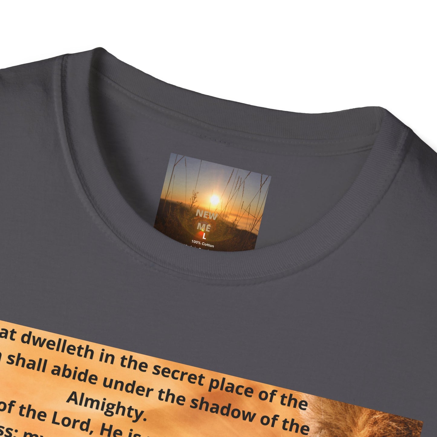 PSALM 91 Inspirational Lion T-Shirt, Motivational Tee, Unisex Quote Shirt, Positive Vibes Wear, Nature Lover Gift