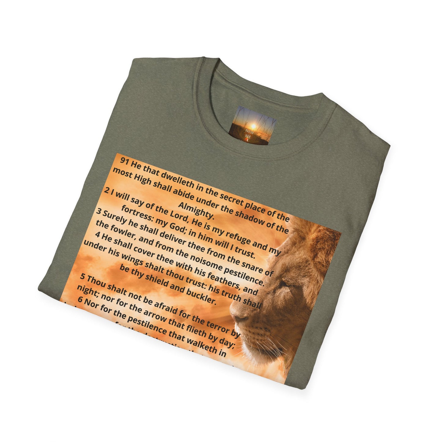 PSALM 91 Inspirational Lion T-Shirt, Motivational Tee, Unisex Quote Shirt, Positive Vibes Wear, Nature Lover Gift