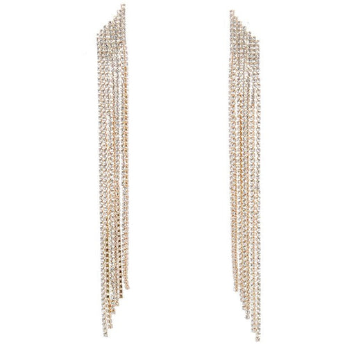 Skew Mesh Linear Tassel Dangle Earrings