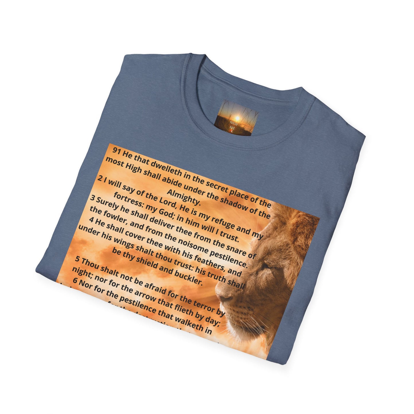 PSALM 91 Inspirational Lion T-Shirt, Motivational Tee, Unisex Quote Shirt, Positive Vibes Wear, Nature Lover Gift