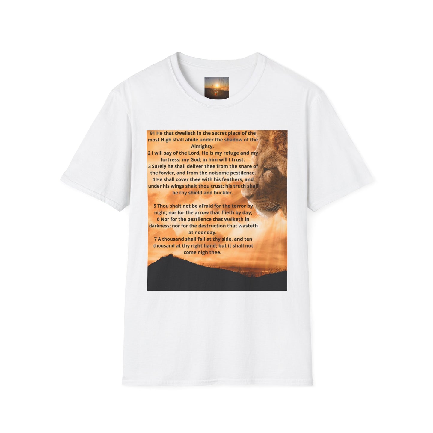 PSALM 91 Inspirational Lion T-Shirt, Motivational Tee, Unisex Quote Shirt, Positive Vibes Wear, Nature Lover Gift