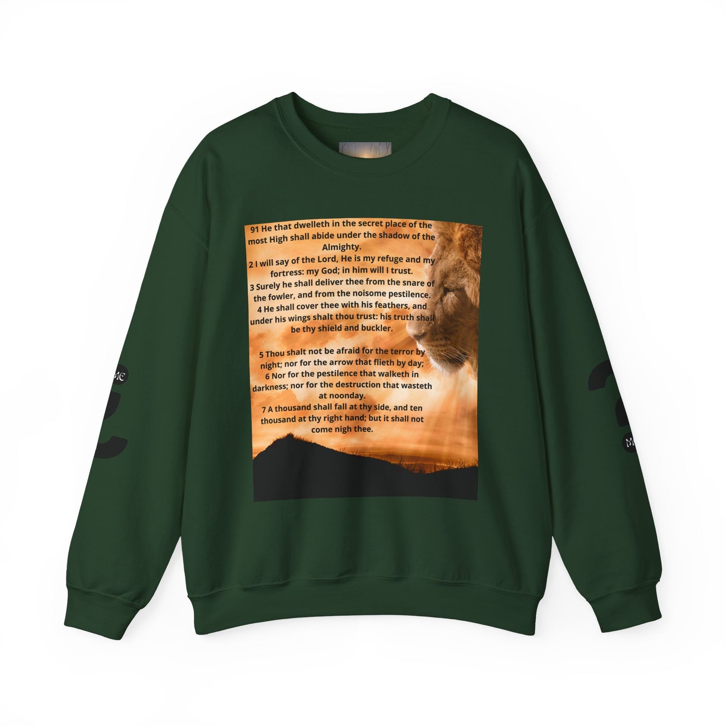 PSALM 91 Inspirational Lion Sweatshirt, Motivational Crewneck, Animal Lover Gift, Cozy Unisex Apparel, Unique Quote Sweatshirt, Gift for Nature [...]